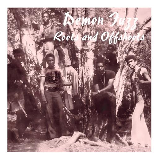Roots and Offshoots - Vinile LP di Demon Fuzz