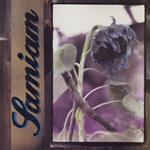 Samiam - Clear Vinyl