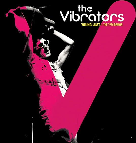 Demos 1976 - Vinile LP di Vibrators