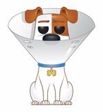 Funko Pop! Movies. Secret Life Of Pets 2. Max In Cone