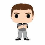 Funko Pop! Television. Dawsons Creek. Pacey