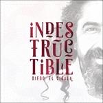 Indestructible - CD Audio di Diego El Cigala
