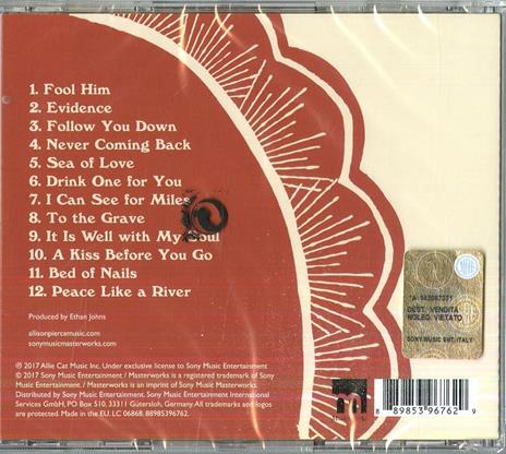 Year of the Rabbit - CD Audio di Allison Pierce - 2