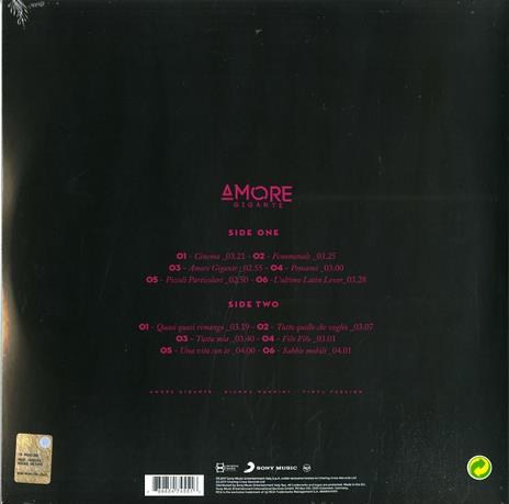 Amore gigante - Vinile LP di Gianna Nannini - 2