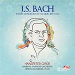 Violin Concerto In E Major