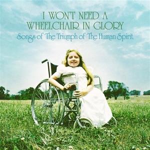 Won'T Need A Wheelchair In Glory / Various - Vinile LP