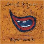 Sugar Mouth - Vinile LP di David Kilgour
