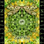 Spring By DJ Zen