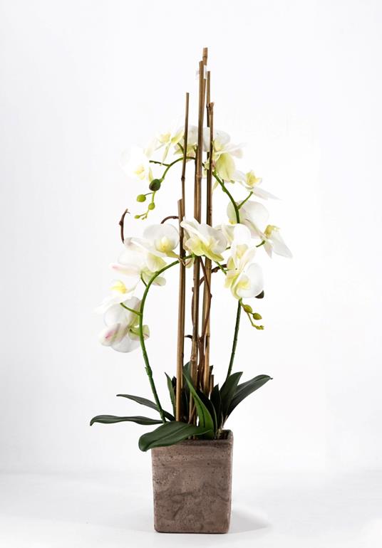 Phalaenopsis Orchidea Artificiale 80Cm Con Vaso Quadrato Bianca Fiori  Piante Artificiali - Peragashop - Idee regalo