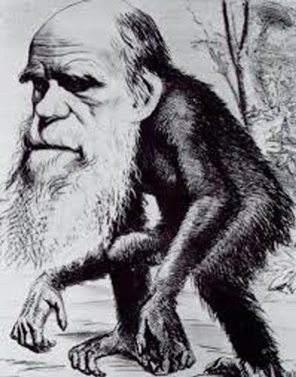 Diario di un naturalista giramondo - Charles Darwin - ebook