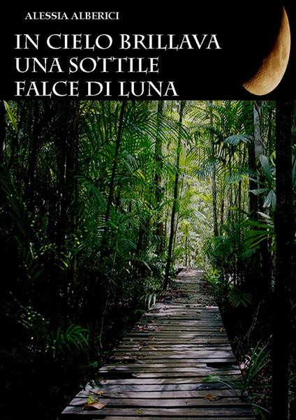 In cielo brillava una sottile falce di luna - Alessia Alberici - ebook