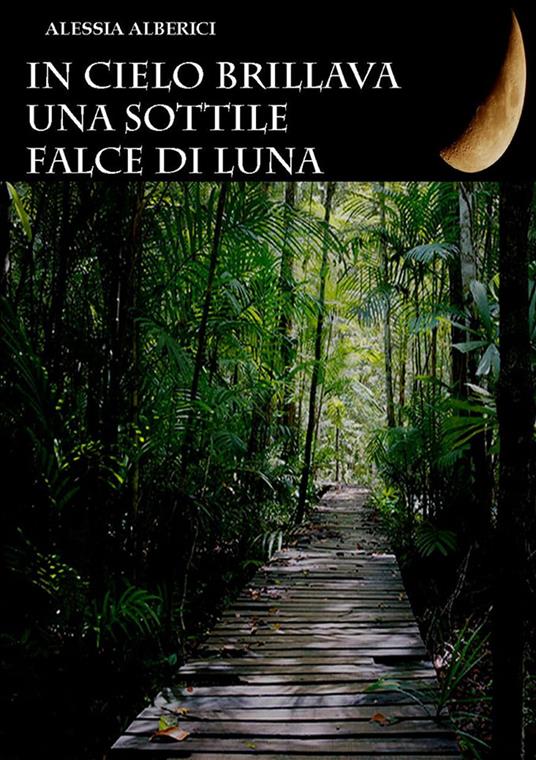 In cielo brillava una sottile falce di luna - Alessia Alberici - ebook