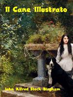 Il Cane Illustrato