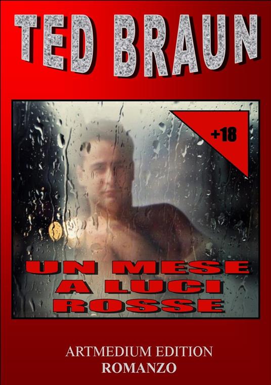 UN MESE A LUCI ROSSE - Ted Braun - ebook