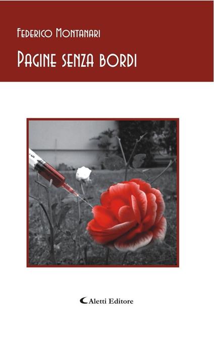 PAGINE SENZA BORDI - Federico Montanari - ebook