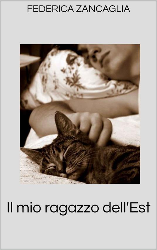 Il mio ragazzo dell'Est - Federica Zancaglia - ebook