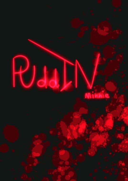Puddin - Federica Aquini - ebook