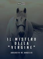 Il mistero della 