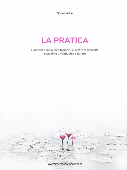 La Pratica - Silvio Gulizia - ebook