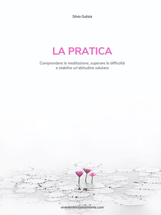 La Pratica - Silvio Gulizia - ebook