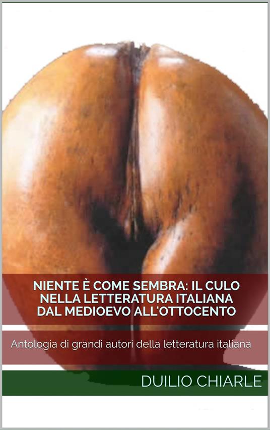 Niente è come sembra: IL CULO nella letteratura italiana dal medioevo all'ottocento - Duilio Chiarle - ebook