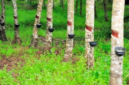 LA GOMMA E LA GUERRA - Giuseppe Bruni - ebook