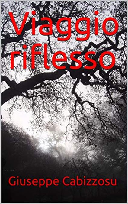 Viaggio riflesso - Giuseppe Cabizzosu - ebook