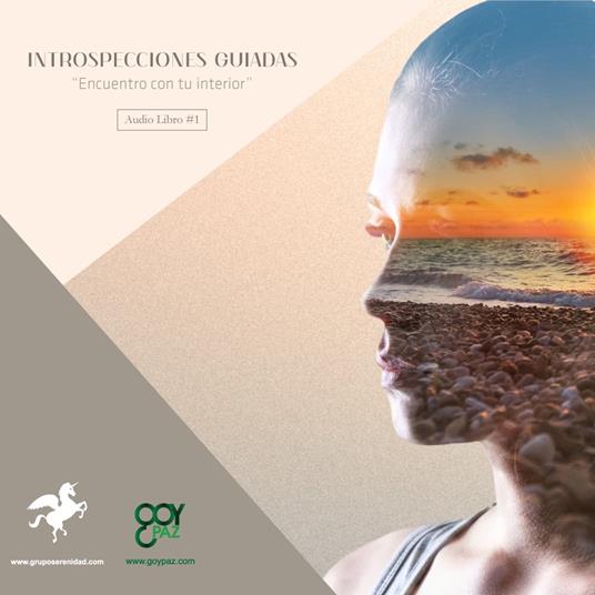 Introspecciones Guiadas - Encuentro con tu interior