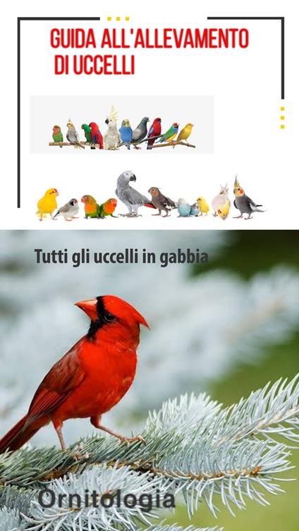 MALATTIE E CURA DEGLI UCCELLI - Mehmet Gürbüz - ebook