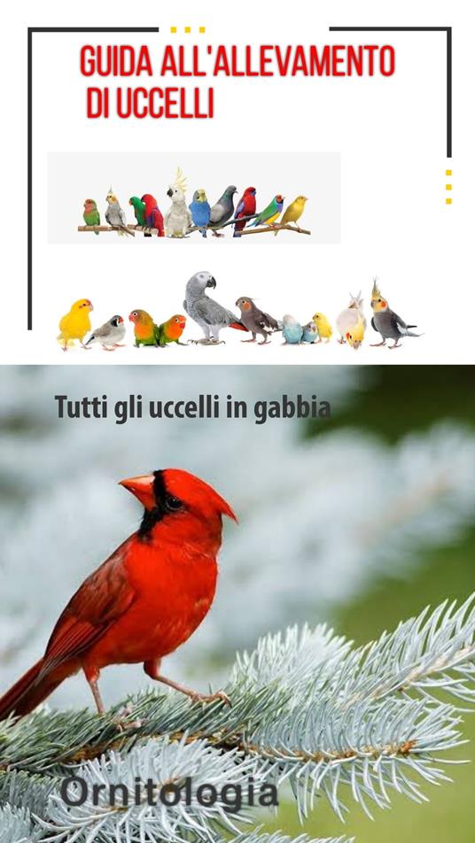 MALATTIE E CURA DEGLI UCCELLI - Mehmet Gürbüz - ebook
