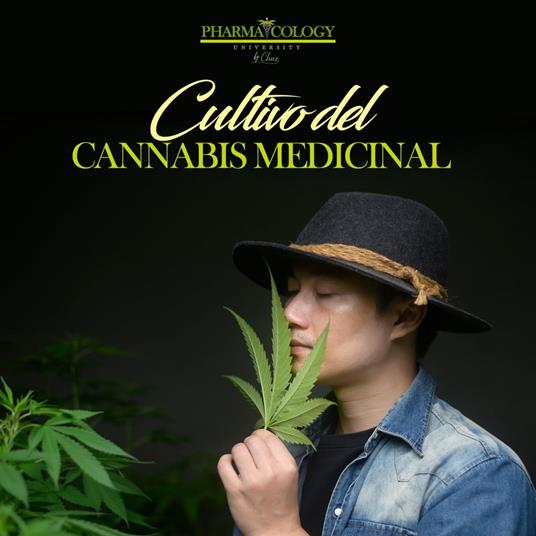 Cultivo del Cannabis Medicinal