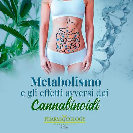 Metabolismo ed effetti avversi dei cannabinoidi