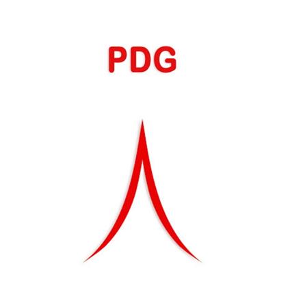 PDG (Partido Democrático Global)