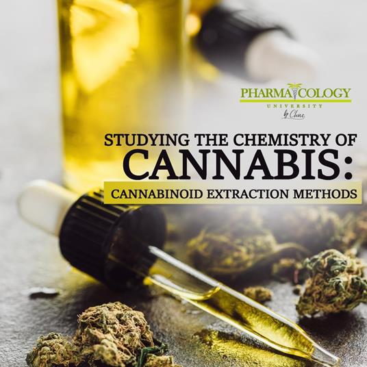 Studying the chemistry of cannabis: cannabinoid extraction methods