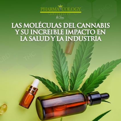 Las moléculas del cannabis y su increible impacto en la salud y la industria