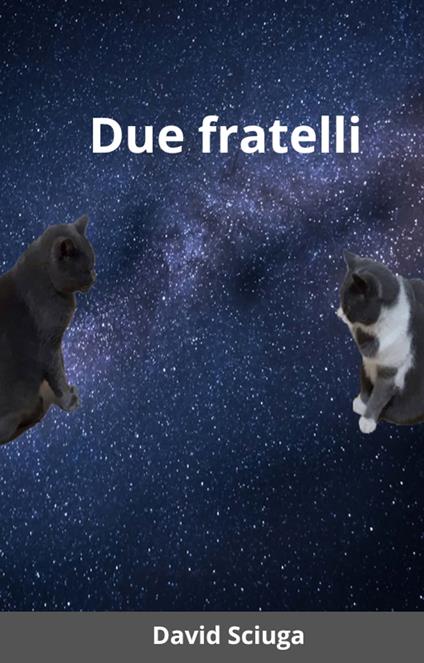 Due fratelli - David Sciuga - ebook