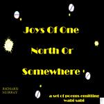 Joys Of One North Or Somewhere