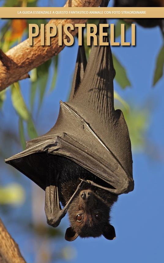 Pipistrelli: la guida essenziale a questo fantastico animale con foto straordinarie - Claudia Santopaolo - ebook