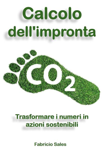 Calcolo dell'impronta di carbonio - Fabricio Silva - ebook