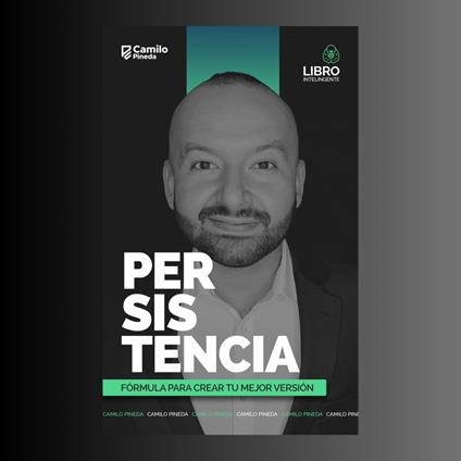 Persistencia