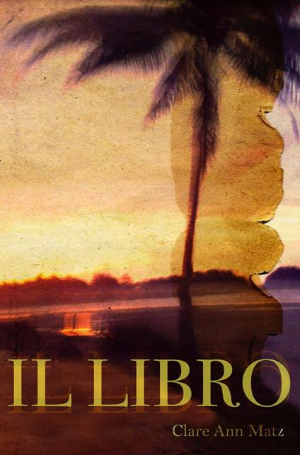 IL LIBRO - Clare Ann Matz - ebook