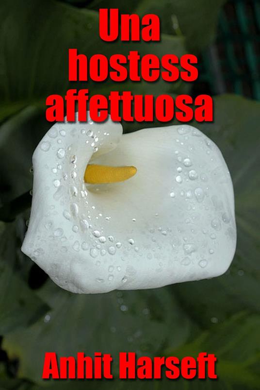 Una hostess affettuosa - Anhit Harseft - ebook