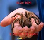 IL VECCHIO E IL RAGNO