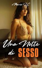 Una Notte di Sesso