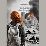 Un chemin dans le chaos