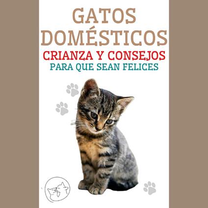 Gatos Domésticos Crianza y Consejos Para que Sean Felices