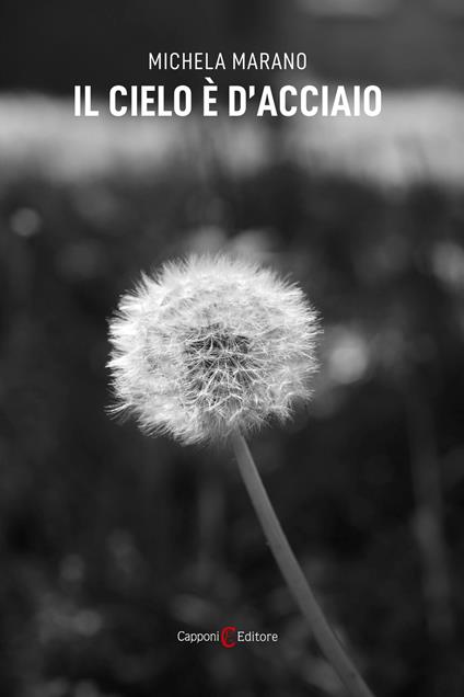 Il cielo è d'acciaio - Michela Marano - ebook