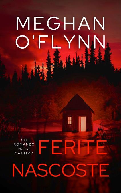 Ferite Nascoste - Meghan O'Flynn - ebook