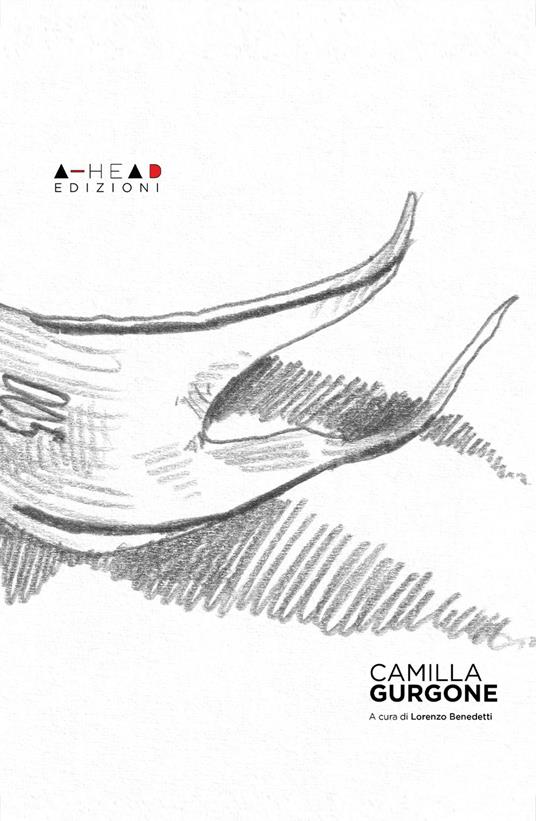 CAMILLA GURGONE - Associazione Angelo Azzurro Onlus,AHead Edizioni - ebook