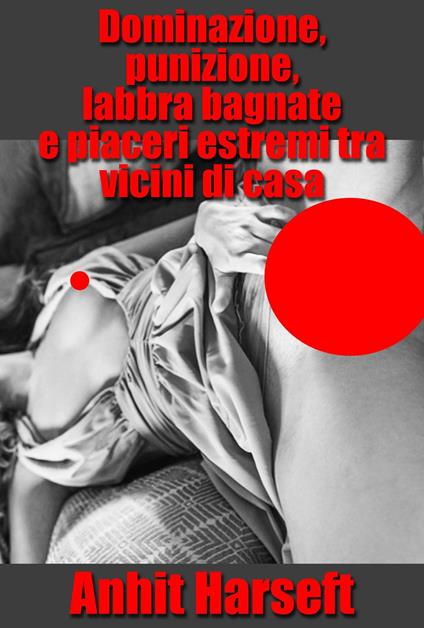 Dominazione, punizione, labbra bagnate e piaceri estremi tra vicini di casa - Anhit Harseft - ebook